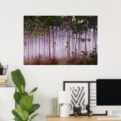 日の出の松の間の霧エバーグレーズ ポスター (ホームオフィス)