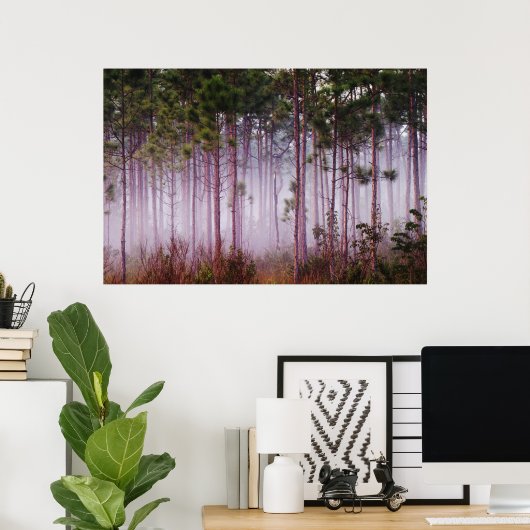 日の出の松の間の霧エバーグレーズ ポスター (ホームオフィス)