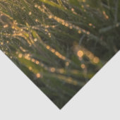 日の出の牧場のピンクの野の花と露 薄葉紙 (詳細)