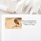 日の出の穴フクロウ ラベル (インサイチュ)