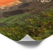 日の出の納屋の外のホルスタイン乳牛 ポスター (角)