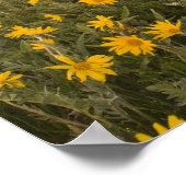 日の出の素晴らしい野草地 ポスター (角)