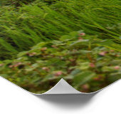 日の出の良い雲とホワイトフィッシュ川 ポスター (角)