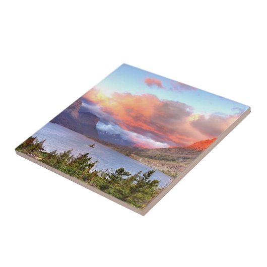 日の出の野生のガチョウの島 タイル (側面)