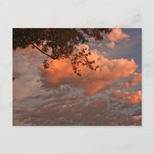 日の出の雲、はがき ポストカード (正面)