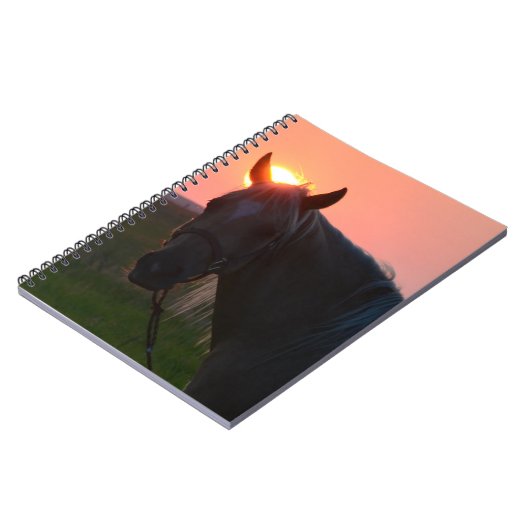 日の出の馬 ノートブック (左側)