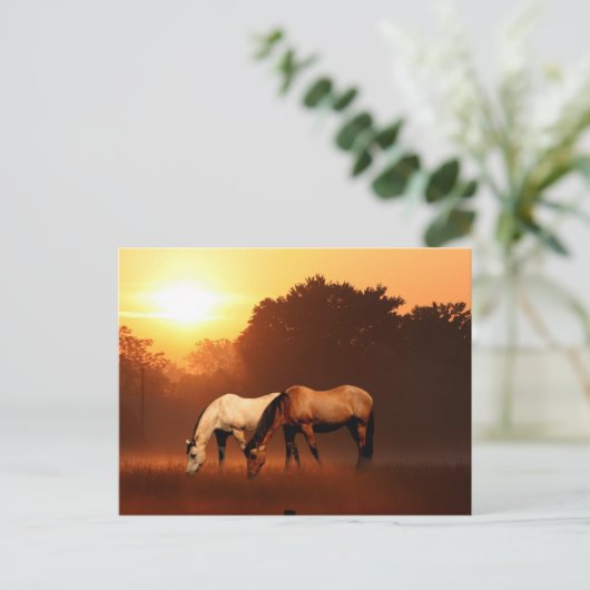 日の出の馬 ポストカード (スタンド正面)