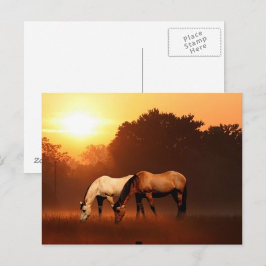 日の出の馬 ポストカード (正面/裏面)
