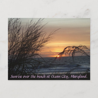 日の出はビーチの… ポストカード