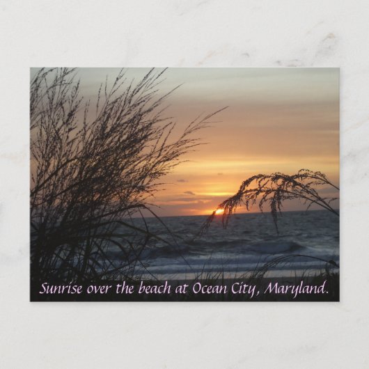 日の出はビーチの… ポストカード (正面)