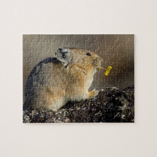 日の出トランペットを吹きます ジグソーパズル (横)