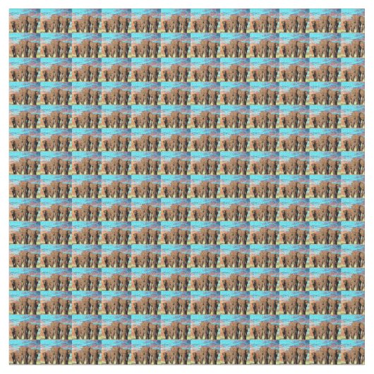 日の出パターンの象の家族 ファブリック (クローズアップ)