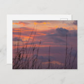 日の出フロリダ州フォートピアース ポストカード (正面/裏面)