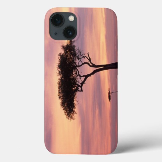 日の出時のアカシアのシルエット画像 Case-Mate iPhoneケース (裏面)