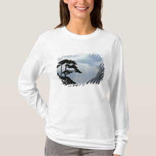 日の出時のシルエットの木、イエローマウンテン、 Tシャツ
