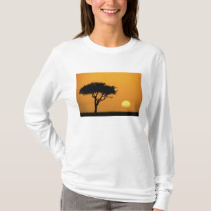 日の出時のマサイのひとつのアカシアの木のシルエット Tシャツ