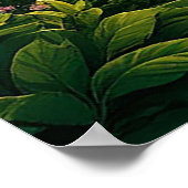 日の出素晴らし海波 ポスター (角)