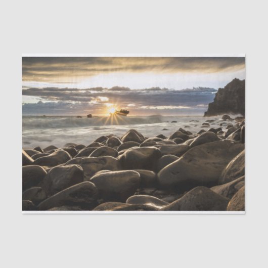 日の出1239727 薄葉紙 (正面)