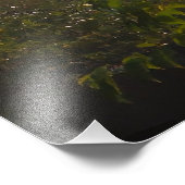 日の出 フォトプリント            (角)