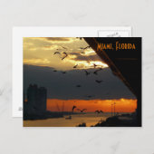 日の出…...フロリダ州マイアミ ポストカード (正面/裏面)