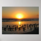 日の出 ポスター (正面)