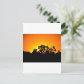 日の出 ポストカード (スタンド正面)