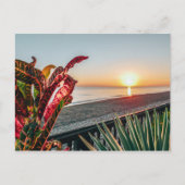 日の出 ポストカード (正面)