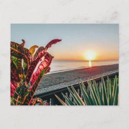 日の出 ポストカード