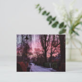 日の出 ポストカード (スタンド正面)