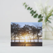 日の出 ポストカード (スタンド正面)