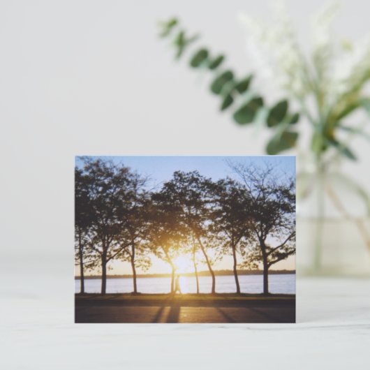 日の出 ポストカード (スタンド正面)