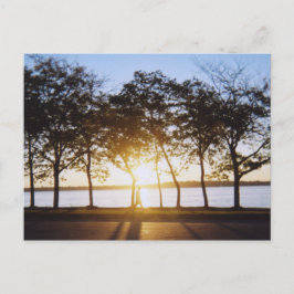 日の出 ポストカード