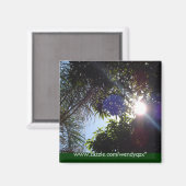 日の出 マグネット (正面/裏面)