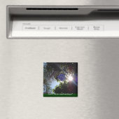 日の出 マグネット (インサイチュ (食洗機))