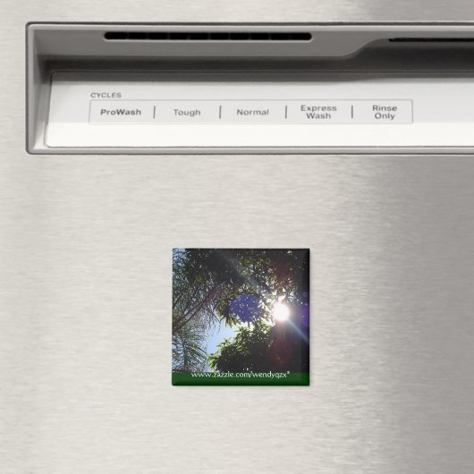 日の出 マグネット (インサイチュ (食洗機))