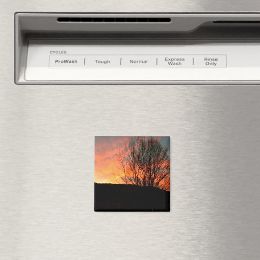 日の出 マグネット (インサイチュ (食洗機))