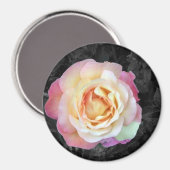 日の出 マグネット (正面/裏面)