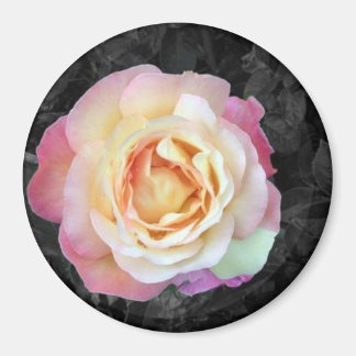 日の出 マグネット