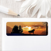 日の出 ラベル (インサイチュ)