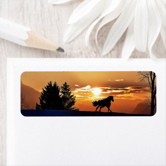 日の出 ラベル (インサイチュ)