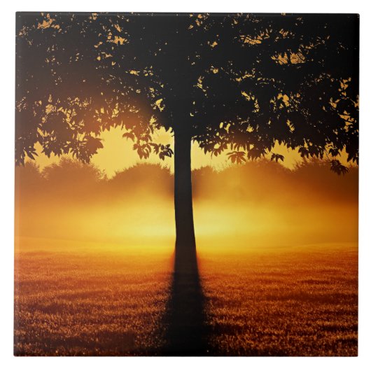 日の出、木のシルエット、 タイル (正面)