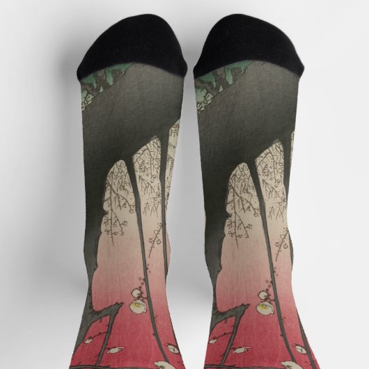 日の日本の出の日没の梅園 ソックス (上部)