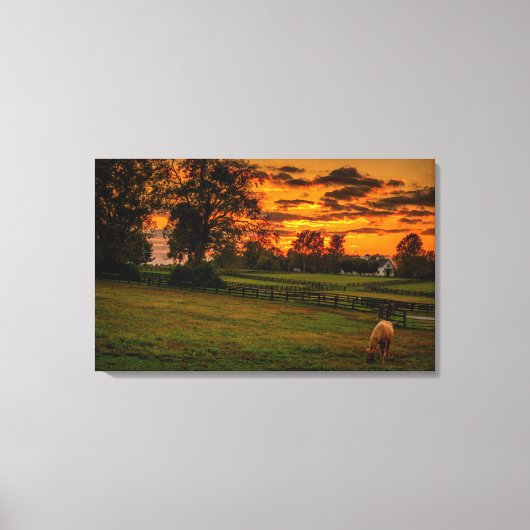 日の暮れ時に一頭の馬 キャンバスプリント (正面)