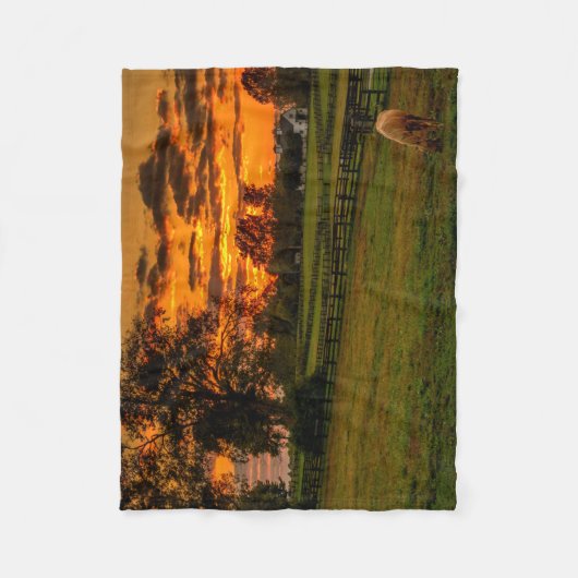 日の暮れ時に一頭の馬 フリースブランケット (正面)