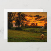 日の暮れ時に一頭の馬 ポストカード (正面/裏面)