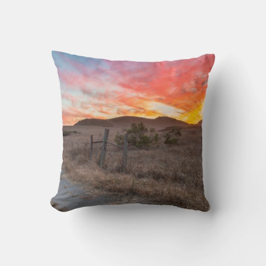 日の最初日没 クッション (正面)