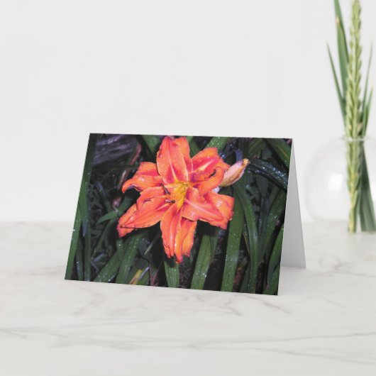 日の期限 カード (正面)