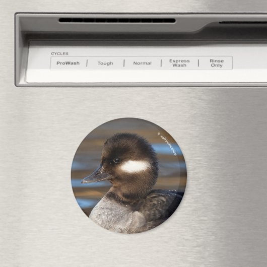 日の照った海にかわいいバッファヘッドアヒル マグネット (インサイチュ (食洗機))