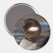 日の照った海にかわいいバッファヘッドアヒル マグネット (正面/裏面)