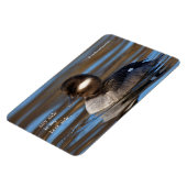 日の照った海にかわいいバッファヘッドアヒル マグネット (左側)